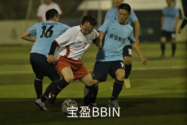 宝盈BBIN公司环境
